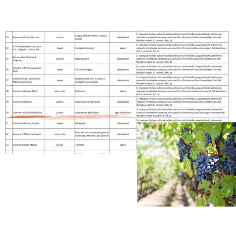 Il Falerno entra nell’inventario del Patrimonio Culturale Immateriale Campano.