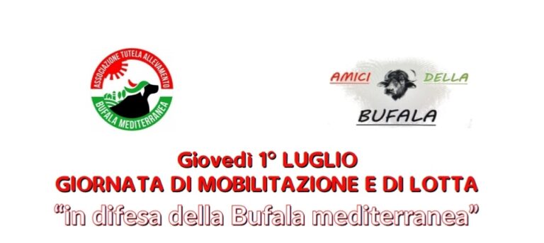 Amici della Bufala: Giornata di mobilitazione e di lotta