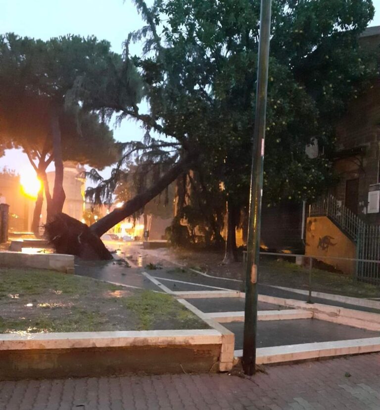 Cellole- Maltempo, improvvisa tromba d’aria dalle ore 6 del mattino