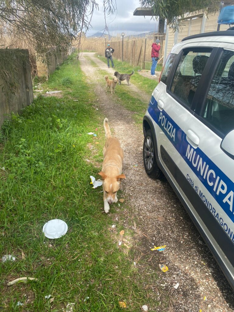 Polizia locale di Mondragone in azione contro sversamento illecito rifiuti