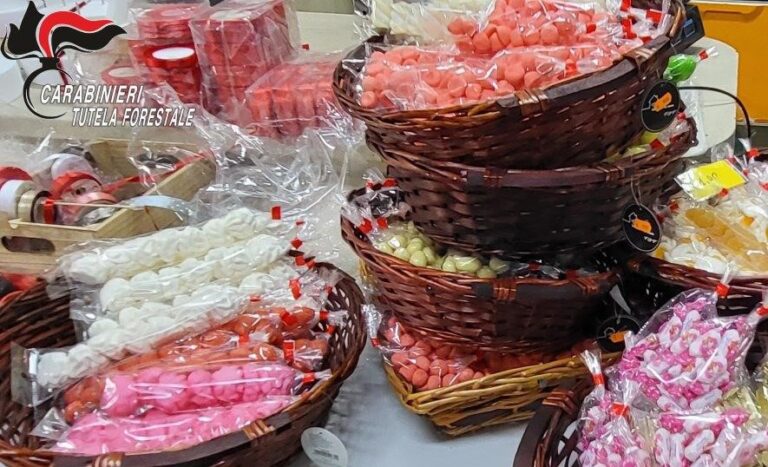 CARABINIERI FORESTALI: “BEFANA SICURA” CONTROLLI SULLA ETICHETTATURA DEI PRODOTTI DOLCIARI